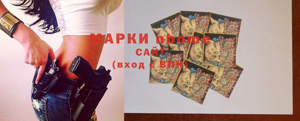индика Алзамай