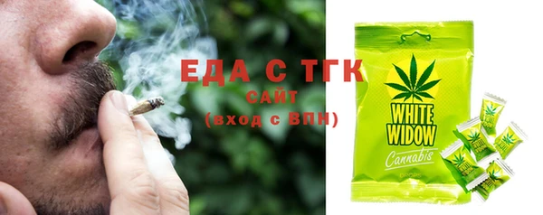 индика Алзамай