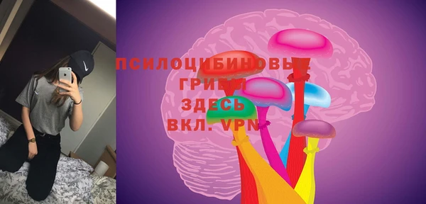 сатива Алексин